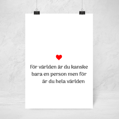 Poster - Hela världen